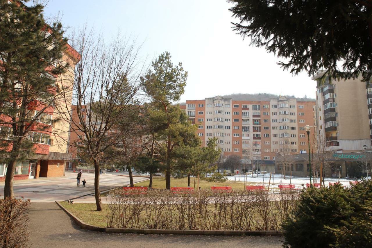Cozy Apartment In Braşov Eksteriør billede